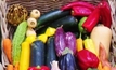 Ban to include Australian vegetables
