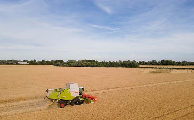 Harvest grain supply pressure tempered by global volatility