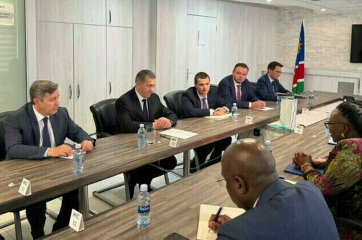 Russia-Namibia trade turnover almost doubles  deputy PM