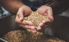 Carbon Removers secure £1m boost to expand sequestration projects across UK and Europe