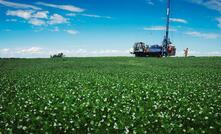 It's harvest time at last for the big miners