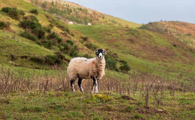 Industry warns wealthy landowners will 'cash in' on ELM