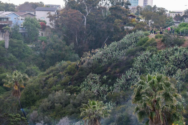 Firefighters attack stubborn vegetation fire University Heights