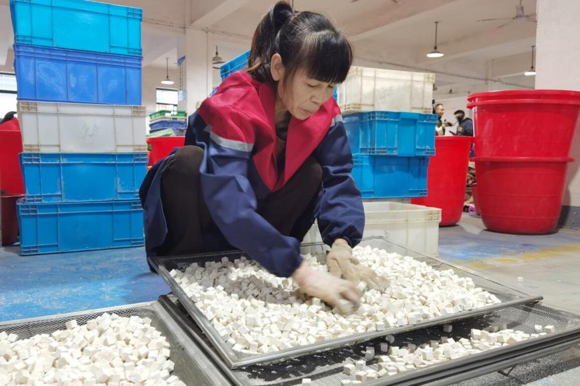 Chinese farmers seek economic gains in forest glades
