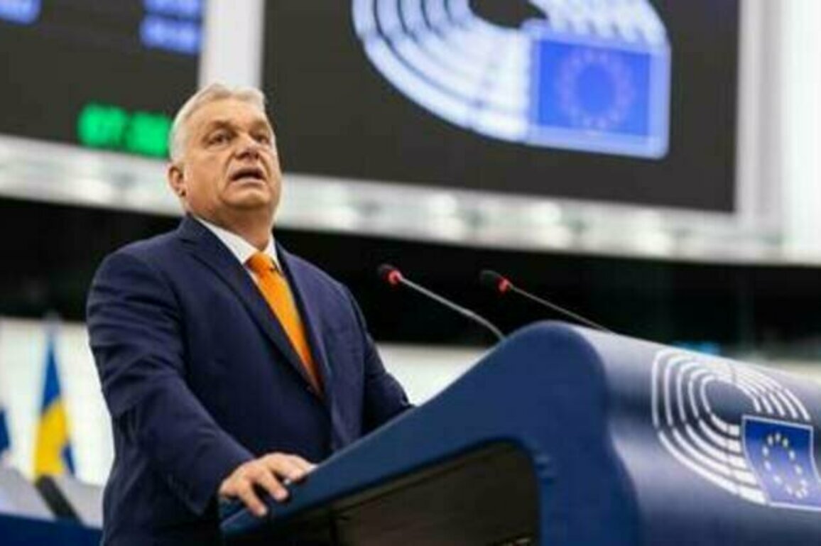 95% of Hungarians oppose Ukraine joining EU - Orban