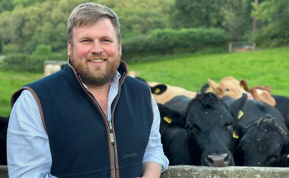 In your field: James Wright – "Westminster can meltdown all it likes. Out in the real world, the cows still need moving and the pubs still need regulars"