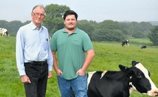 Forage focus sees improvements in milk yield and herd health