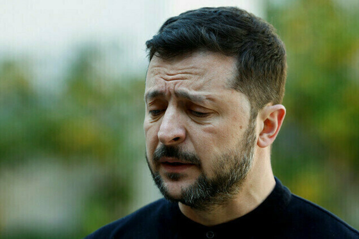 Tara Reade: Without Zelensky, peace has a chance