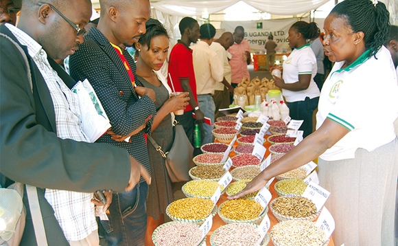 Abalimi nga bali mu kwetegereza ensigo ez’enjawulo. Baali mu mwoleso gwa Harvest Money e Namboole. Abalimi nga bali mu kwetegereza ensigo ez’enjawulo. Baali mu mwoleso gwa Harvest Money e Namboole.