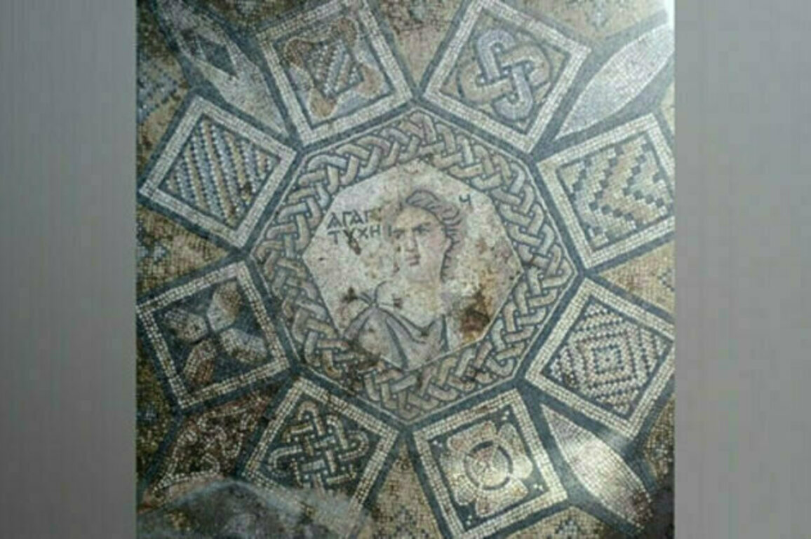 Roman-era mosaic panel discovered in Homs