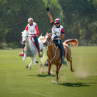 UAE's Saeed Al Harbi crowned FEI Endurance Asian Championship champion in Thailand