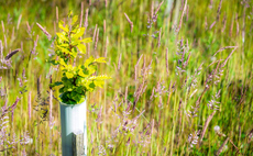 From 'forever chemicals' to landscape recovery: The new Environmental Improvement Plan at a glance