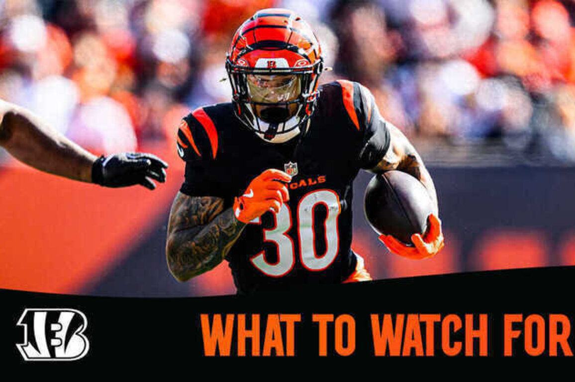 What to Watch For | Bears vs Bengals Week 9