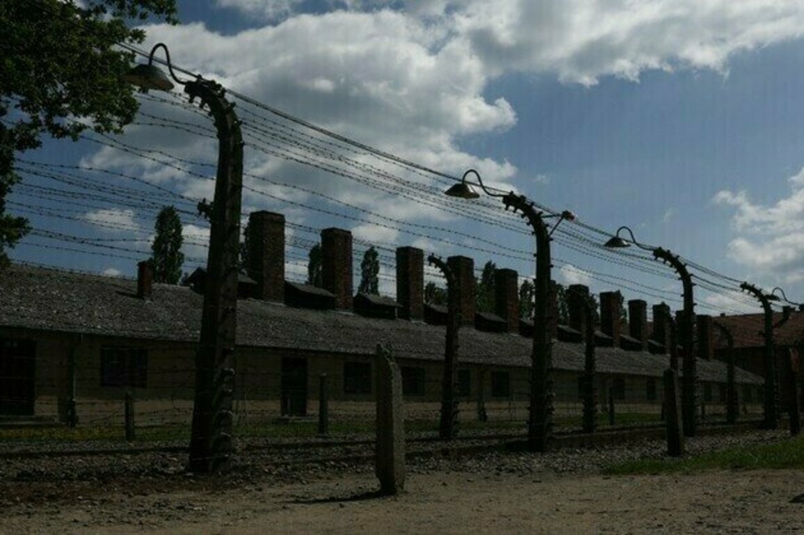 German auction of Nazi death camp artifacts canceled after outcry