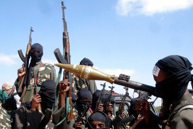 US Military Strike in Somalia Kills 2 Militants