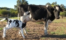 Dairy industry in crisis, Barnaby promises to help