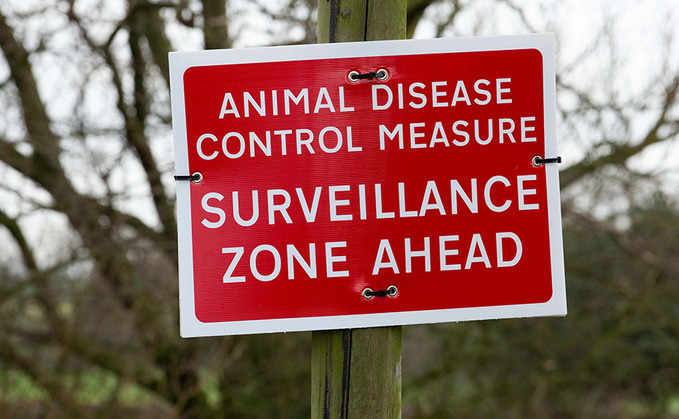 Bluetongue spreads to Suffolk for first time in 6 months