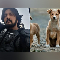 "They didn't choose streets but...": Kichcha Sudeepa urges to "kindly adopt" indie dogs after SC's order