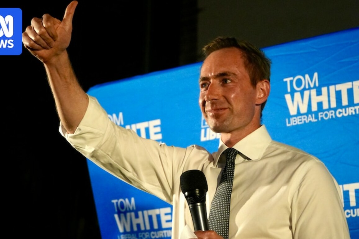 Federal Liberal issues blamed for poor WA result as party concedes defeat to Kate Chaney in Curtin