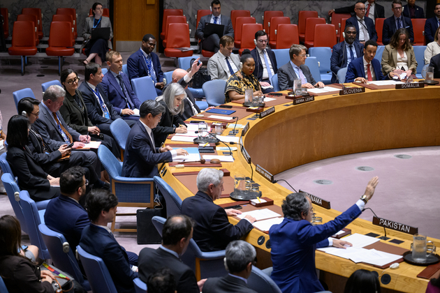 UN-SECURITY COUNCIL-HAITI-MSS-GSF
