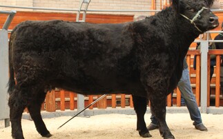 Strong demand for Balgray dispersal