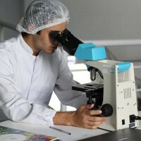 Groundbreaking study reveals how our brain learns