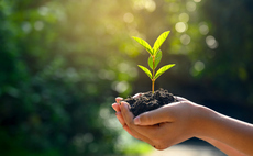 H&M Group adopts science-based targets for land impacts 