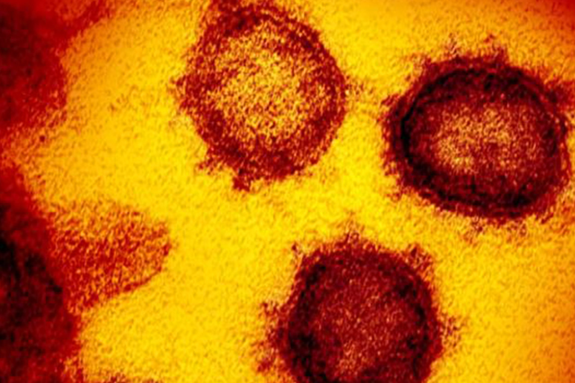 The shield before the arrow: Researchers unveil AI-driven 'Universal Vaccine' to pre-empt next pandemic