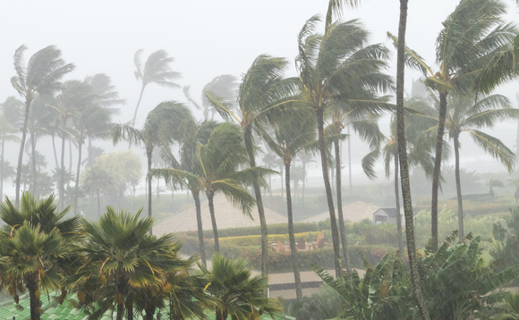 'A survival guide for humanity': The green economy reacts to the IPCC Synthesis Report