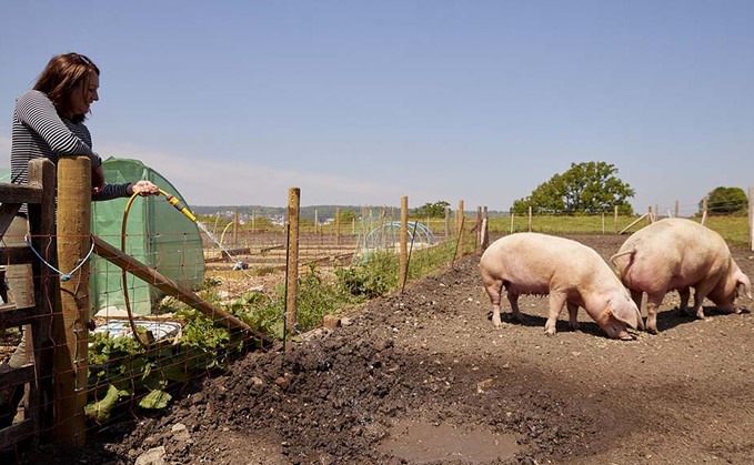 Bristol's last working farm saved