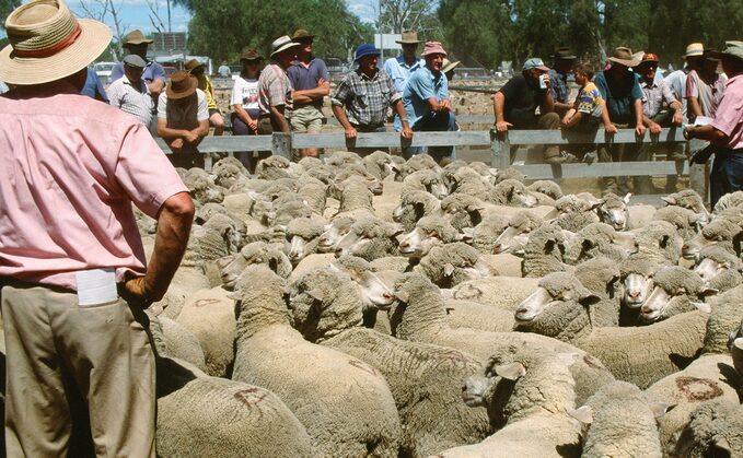 Markets help Australian farmers beat loneliness