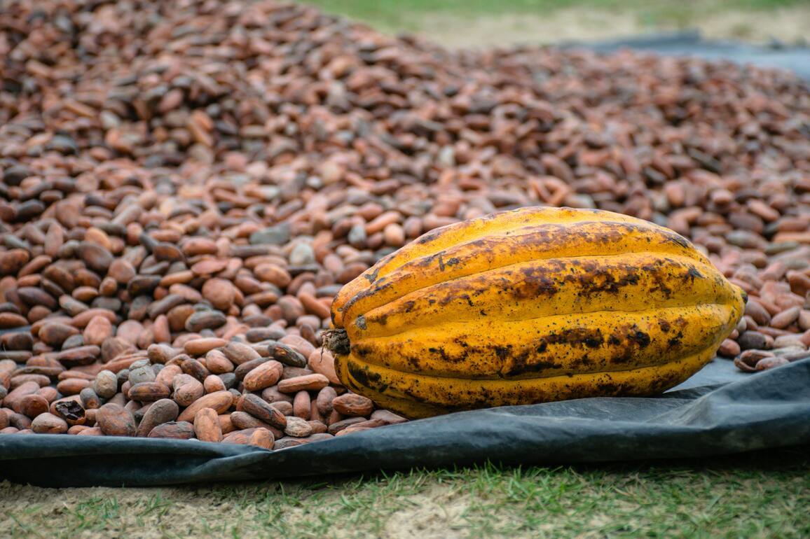 After cocoa crash, experts warn coffee prices may drop