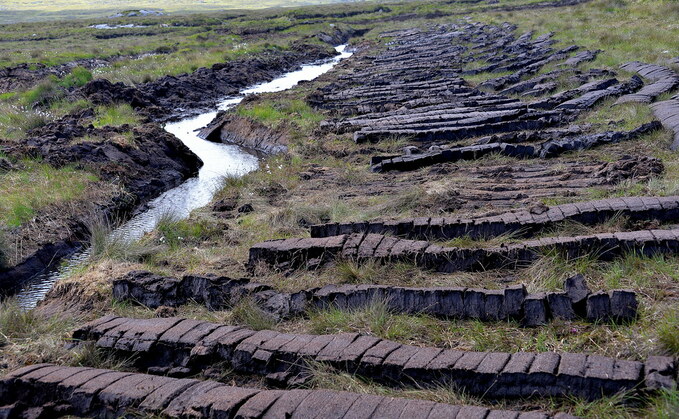 The UK is one of the world’s top 10 countries for peatland areas | Credit: Waitrose