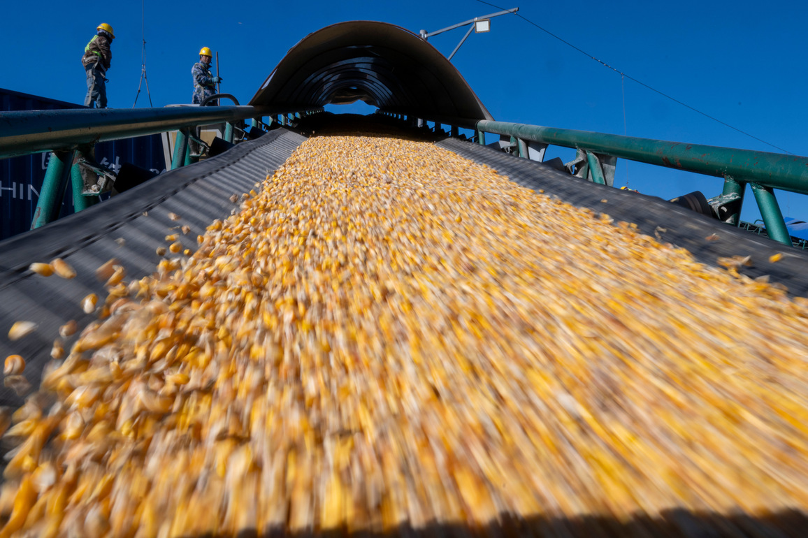 CHINA-HEILONGJIANG-GRAIN TRANSPORTATION (CN)