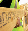 Sawmill group buys Forest