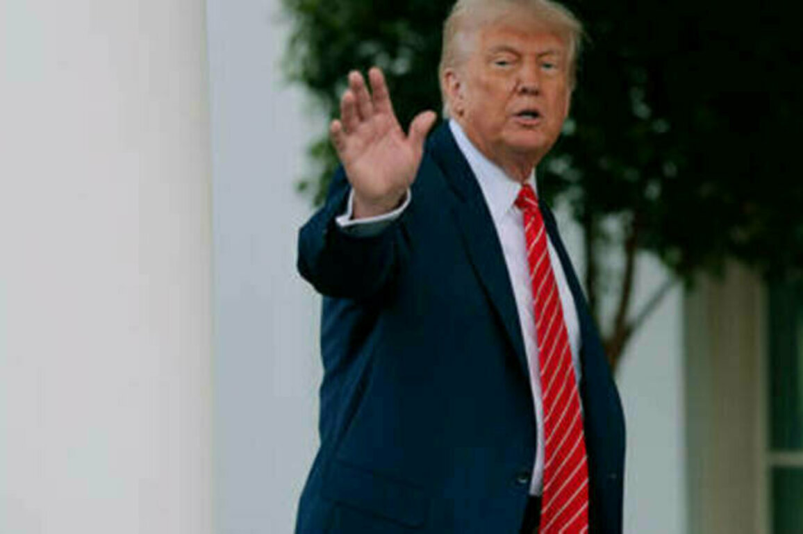 Trump responds favorably to Putin peace talks proposal