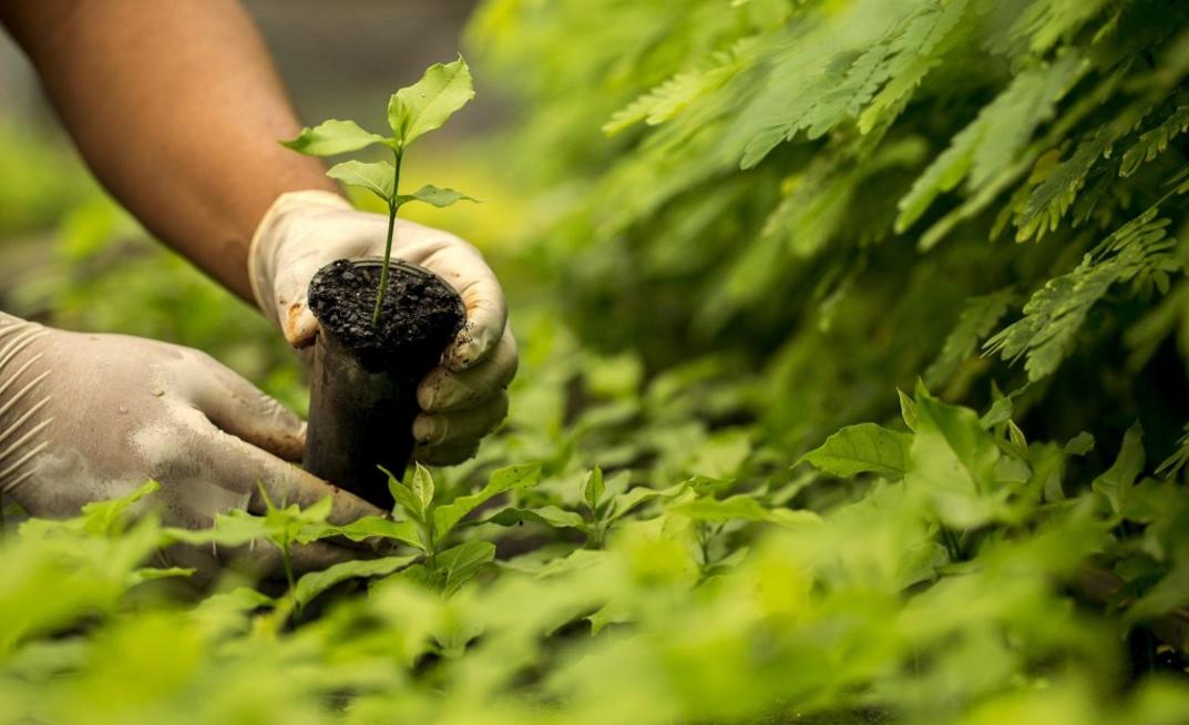 Provisões para recuperação são crescentes/Divulgação