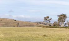 Massive Tasmanian solar farm gets the green light