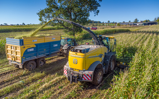 Cruising through the crops with New Holland's latest forager 