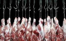 Food Standards Agency accused of hindering progress on small abattoirs