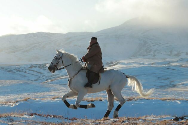 Tatarstan rises as key horse supplier for Kim Jong Un and military brass