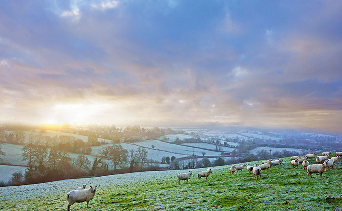 Farmers thoughts on proposed AHDB's future governance