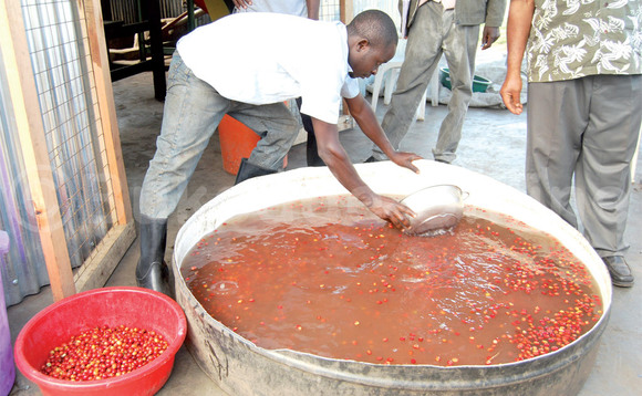 Emmwaanyi embisi osooka kuzissa mu mazzi n’ozooza okusengejja ennamu ku zitaliimu mulamwa. Emmwaanyi embisi osooka kuzissa mu mazzi n’ozooza okusengejja ennamu ku zitaliimu mulamwa.