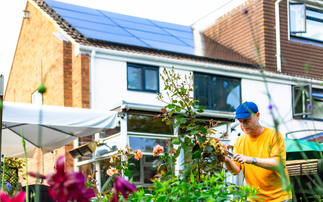 OVO launches first Climate Transition Plan