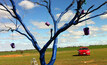 The Blue Tree Project is touring through regional WA over the next few weeks. Photo courtesy of the Blue Tree Project.