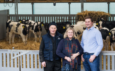 Scottish dairy farm cuts labour costs by 75% with innovative new calf shed design