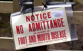 2001 UK foot-and-mouth outbreak - 25 years on: "The countryside should never be shut down again"