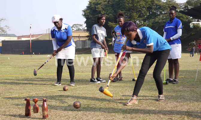 More clubs to register for woodball More clubs to register for woodball