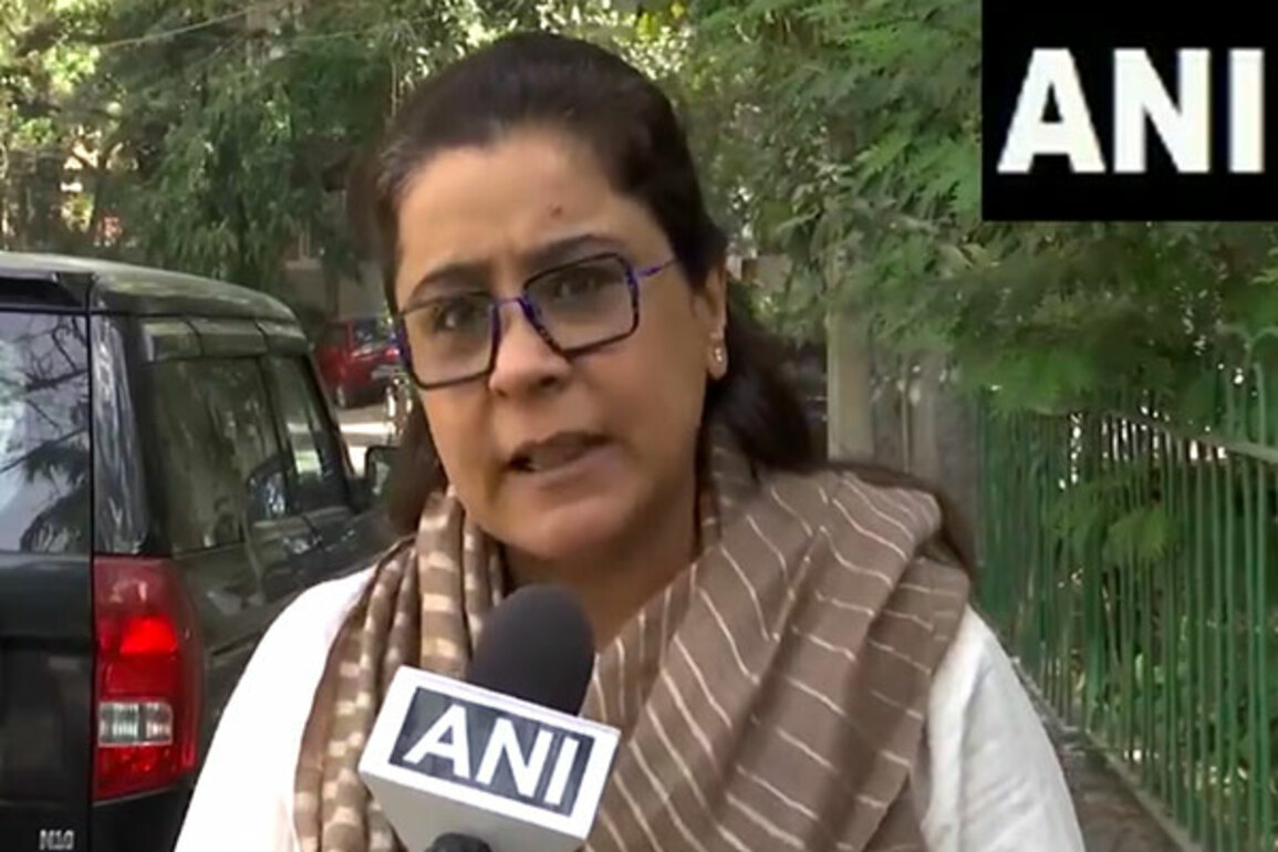 AAP spokesperson slams BJP on Waqf; says PM not present at bill discussion