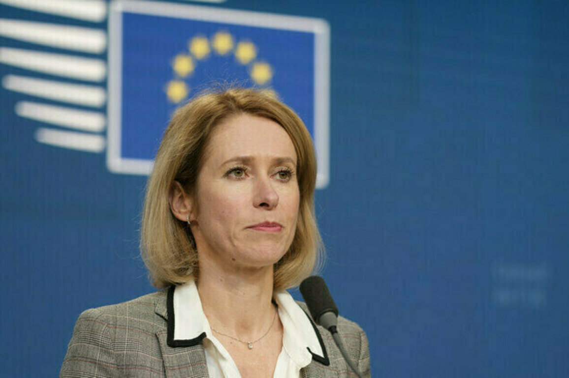 NATO will survive Trump  top EU diplomat